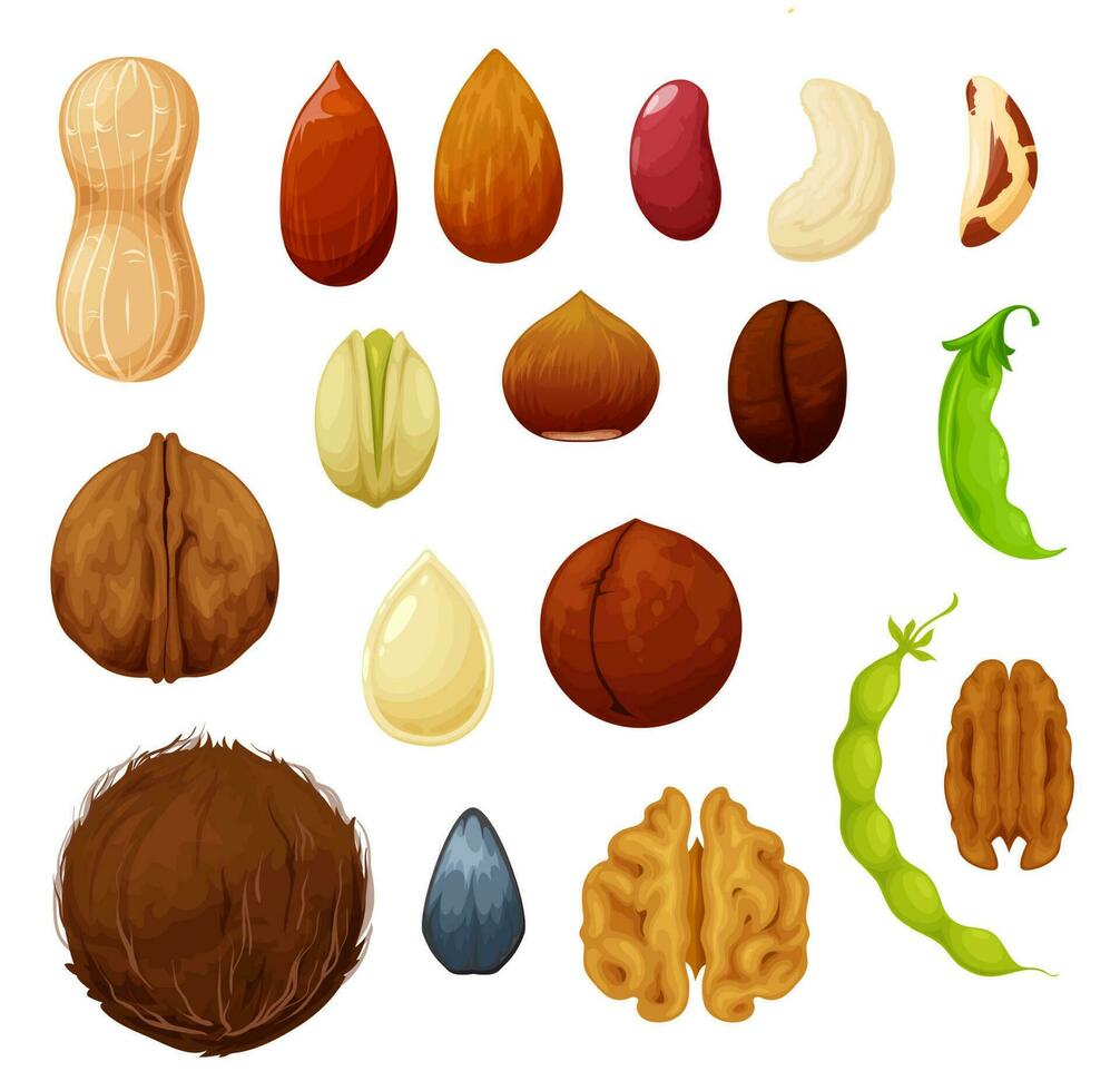 Nuts and beans icons, food natural organic seeds vector