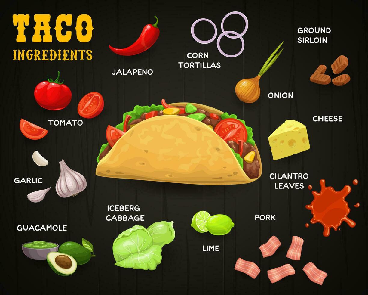 Taco with ingredients, Mexican fast food vector