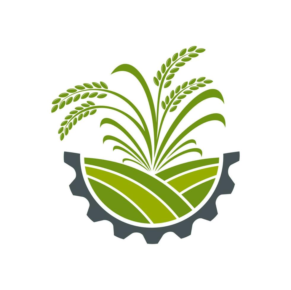 Agriculture icon, wheat ears or rye cereal field vector