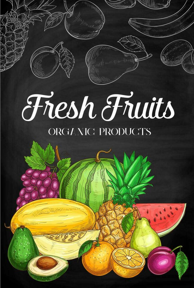 Fresh fruits sketch blackboard of farm food vector