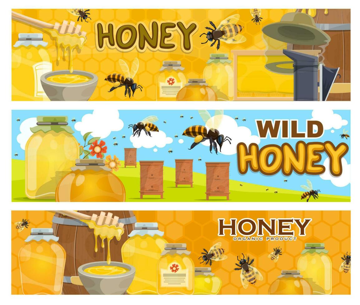 Apiary beehives with bees and honey. Beekeeping vector