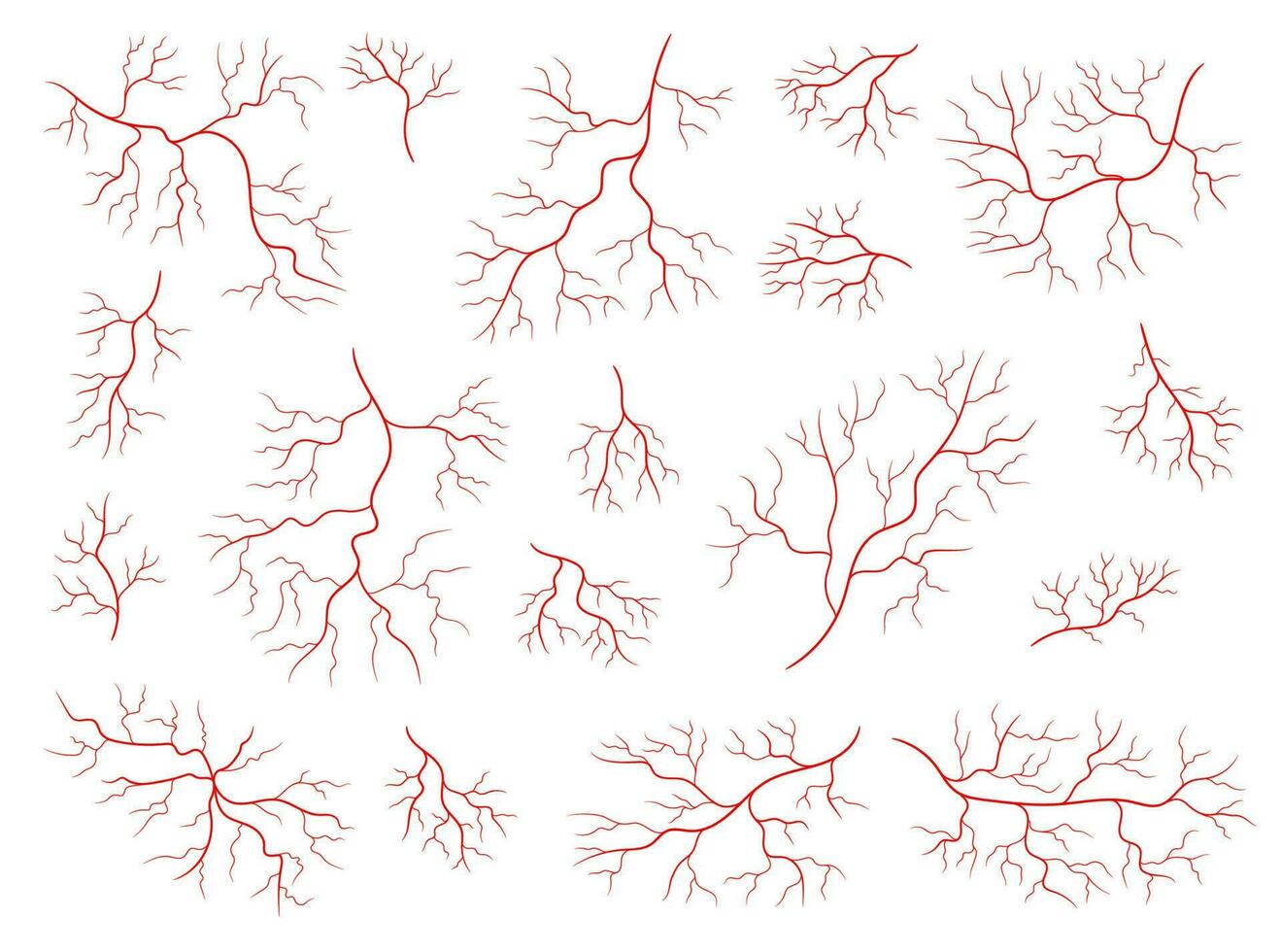 Isolated red veins of human anatomy, blood vessels vector