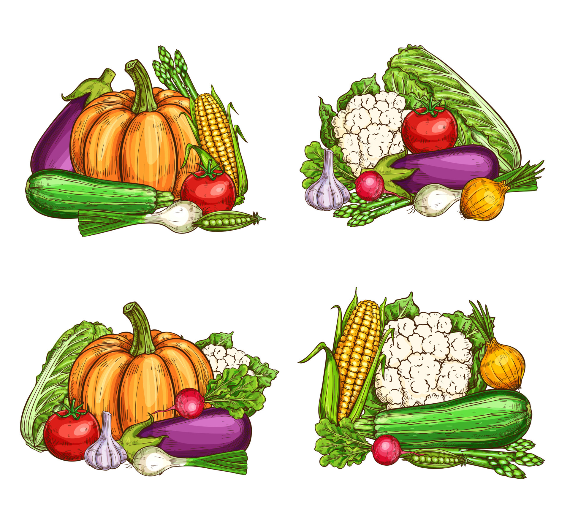 Natural farm vegetables harvest, vector 23510979 Vector Art at Vecteezy