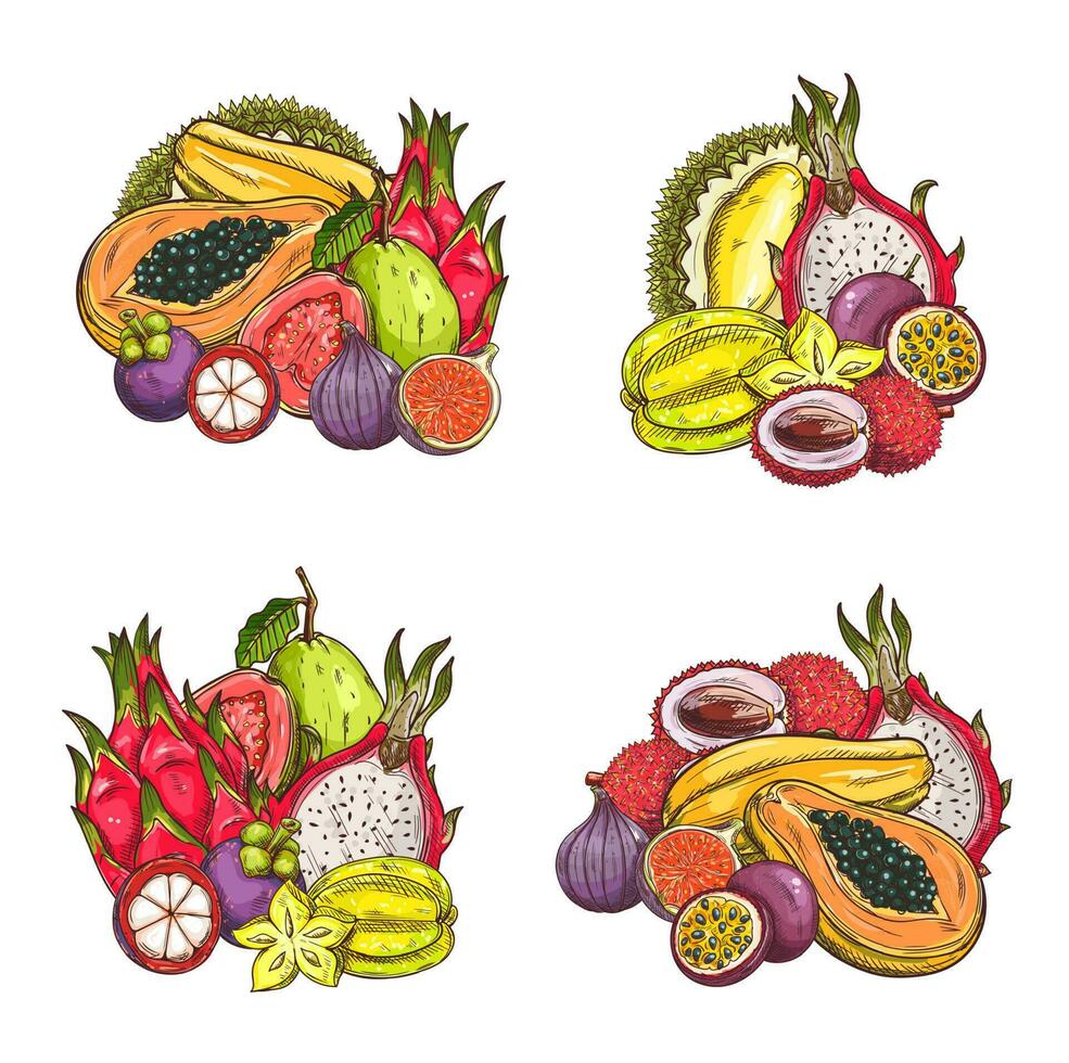 Tropical exotic fruits set, vector sketch