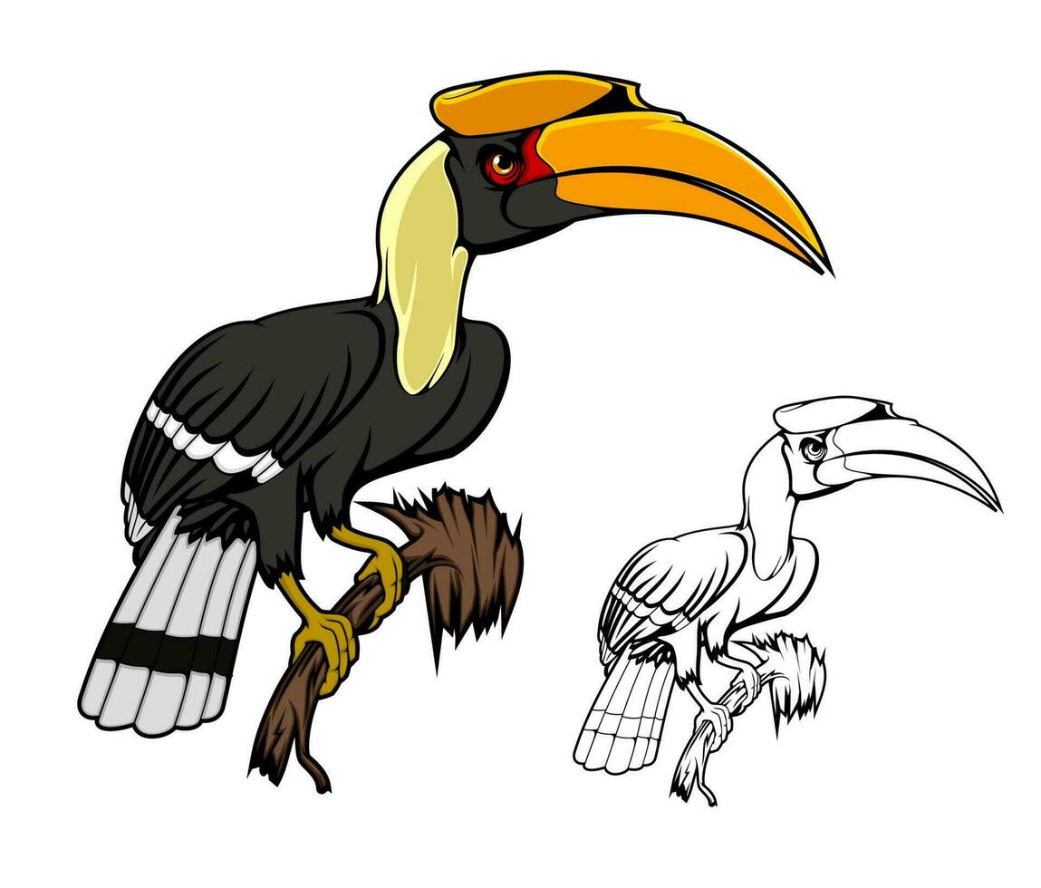 Rhinoceros hornbill tropical kalao bird vector