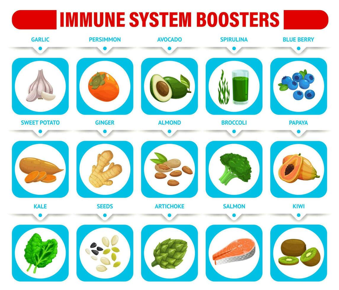 inmune sistema refuerzos gráfico con sano comida vector