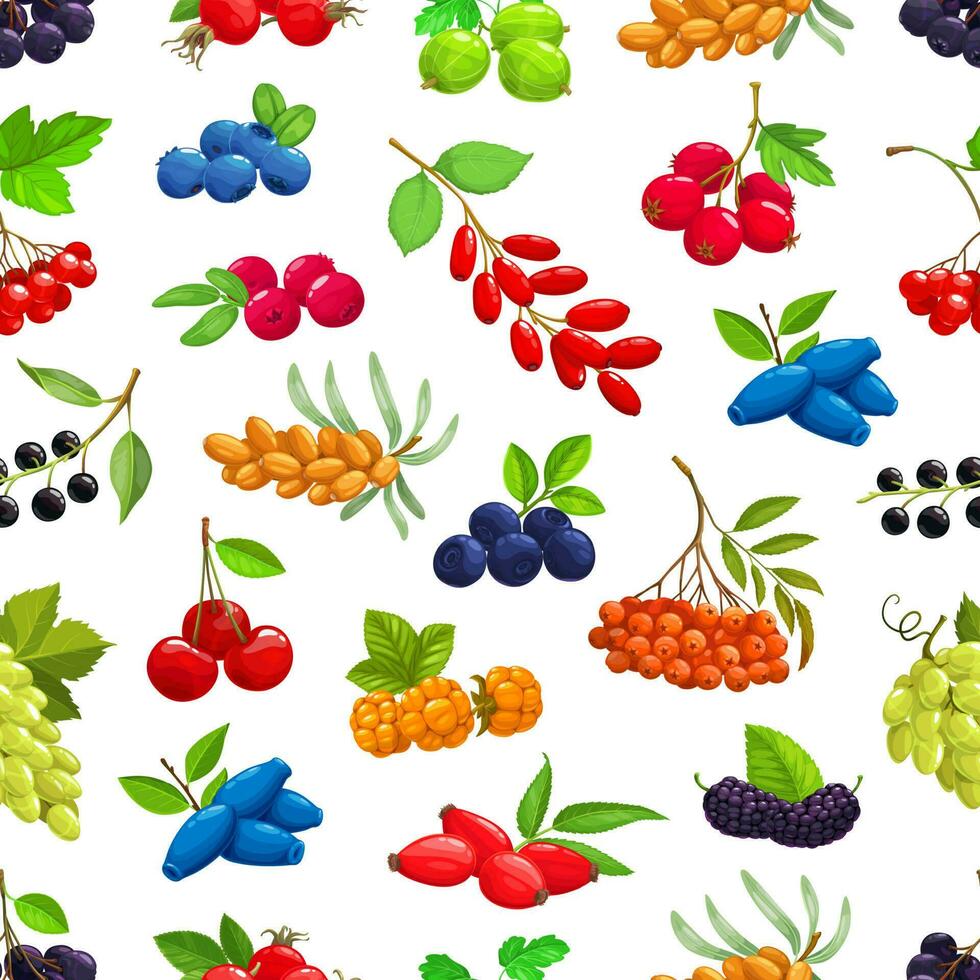 Garden, fores berries seamless pattern background vector