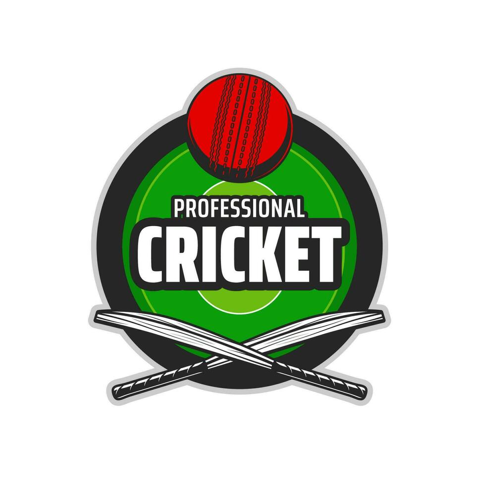 Cricket sport round icon with bats and ball vector