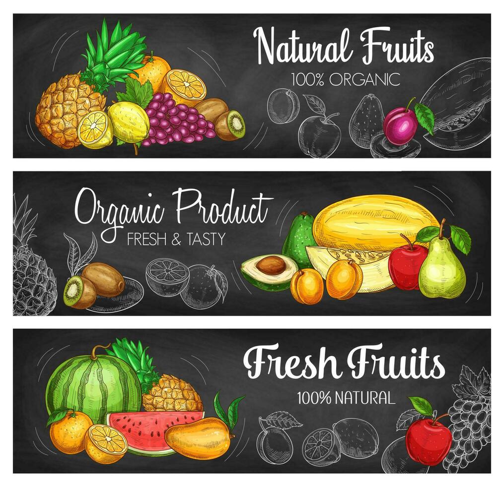 tropical Fruta y baya pizarra pancartas vector