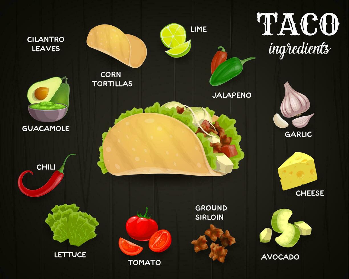 Tacos ingredients, mexican fast food vector