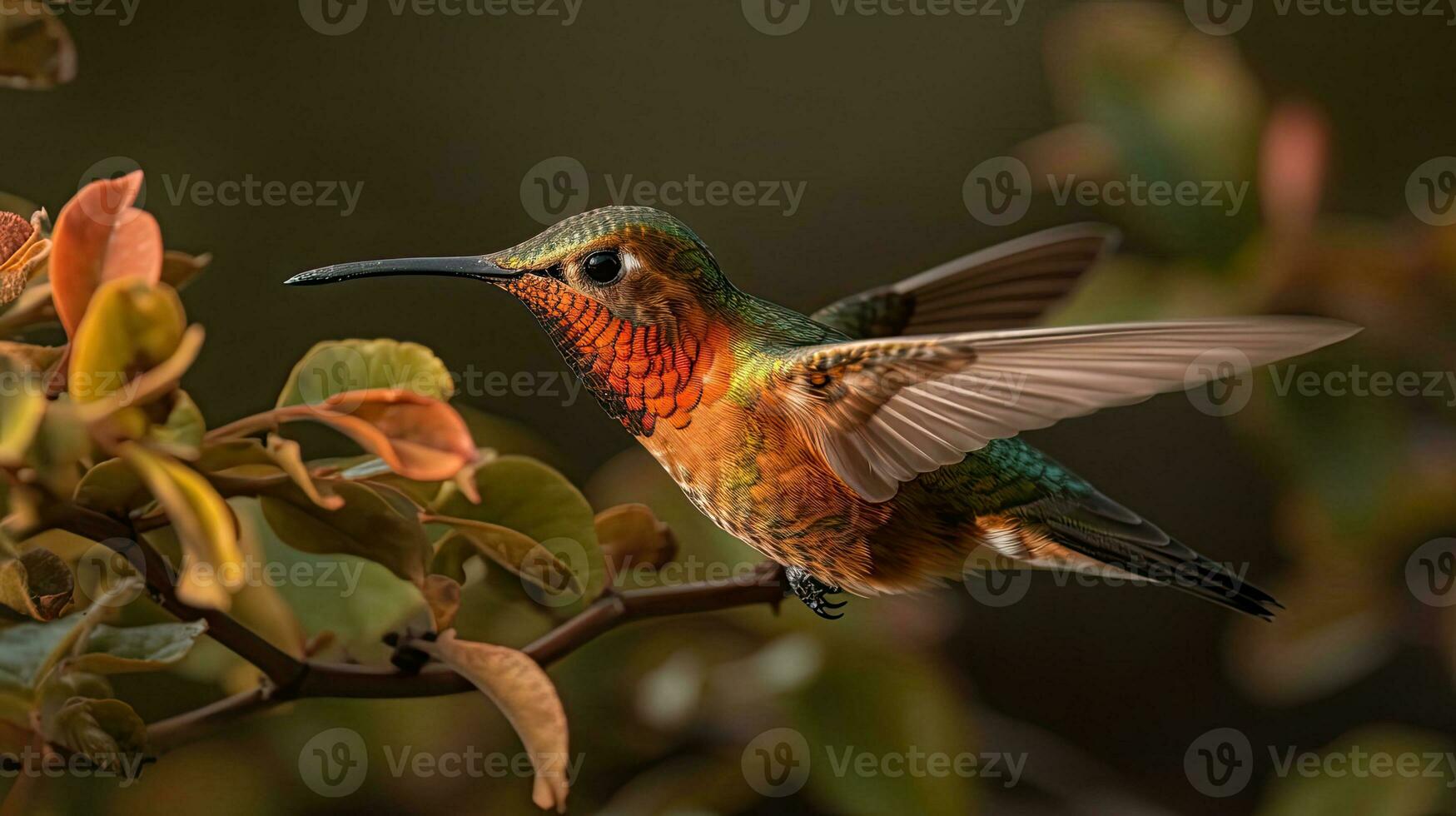 foto de zumbador pájaro animal con difuminar antecedentes