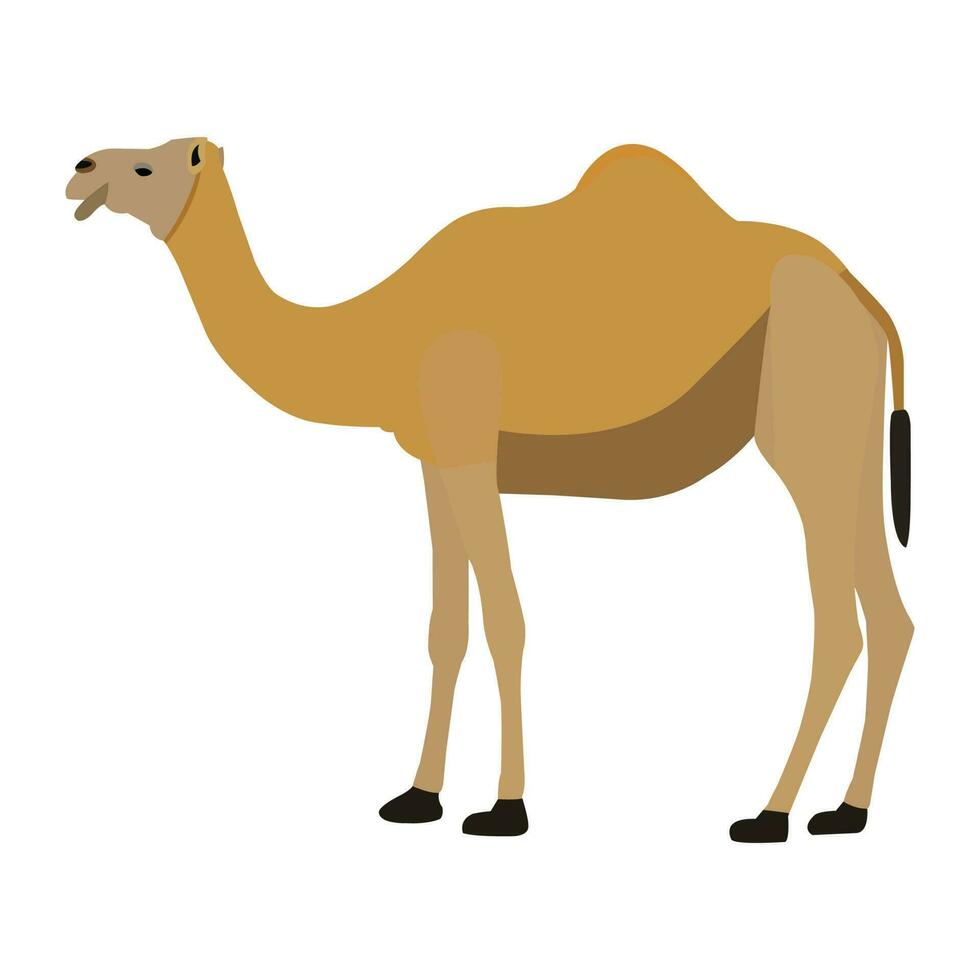 A beautiful camel vector art work.