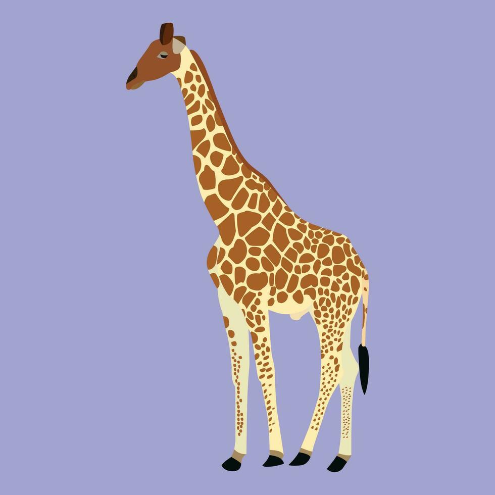 A beautiful giraffe vector art work.