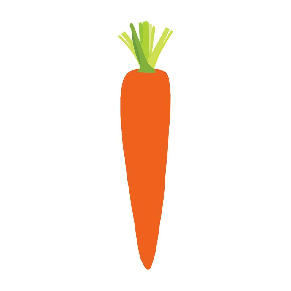 A beautiful carrot vector art work.