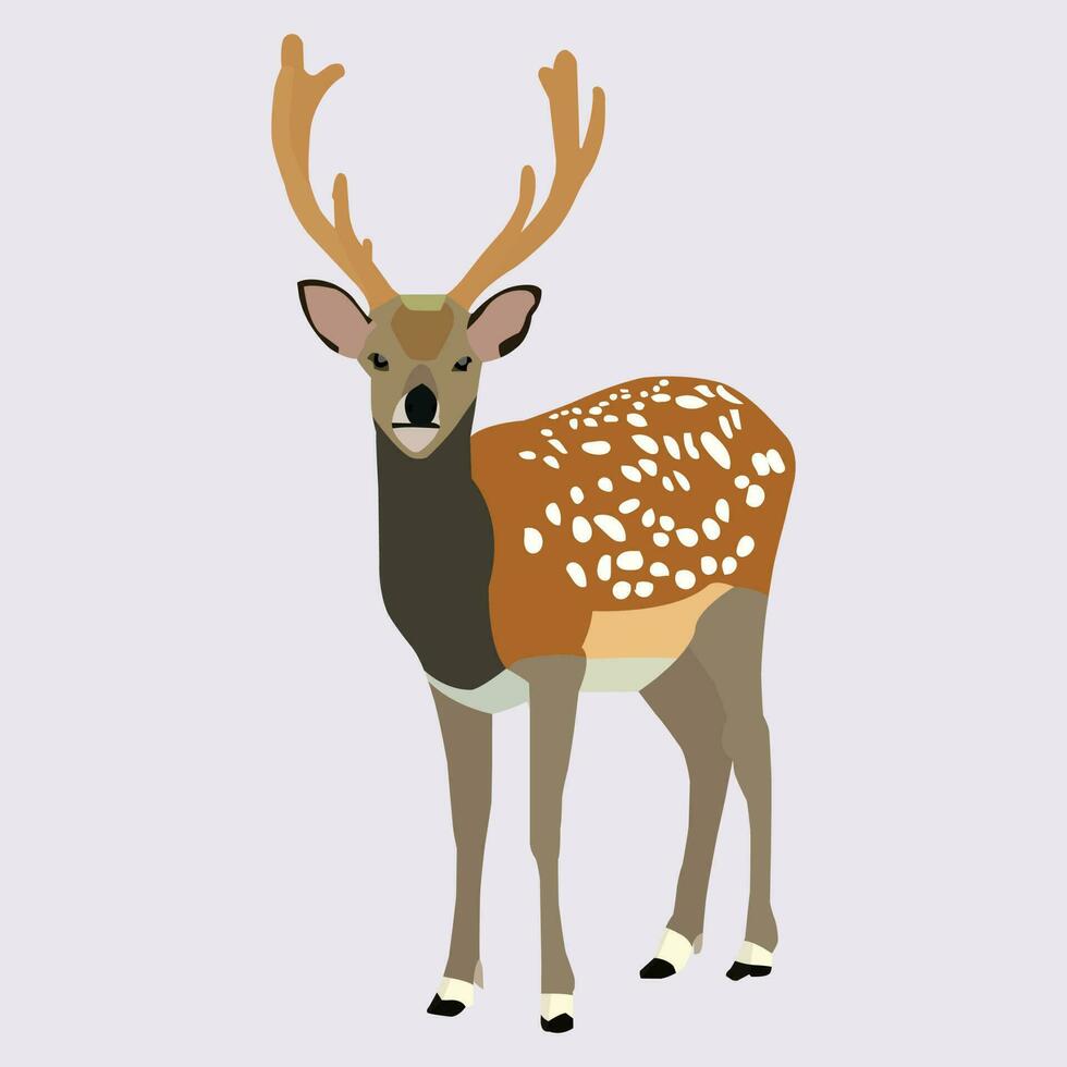 A beautiful deer vector art work.