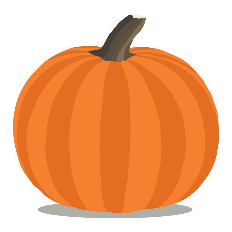 A attractive pumpkin vegetable vector art work.