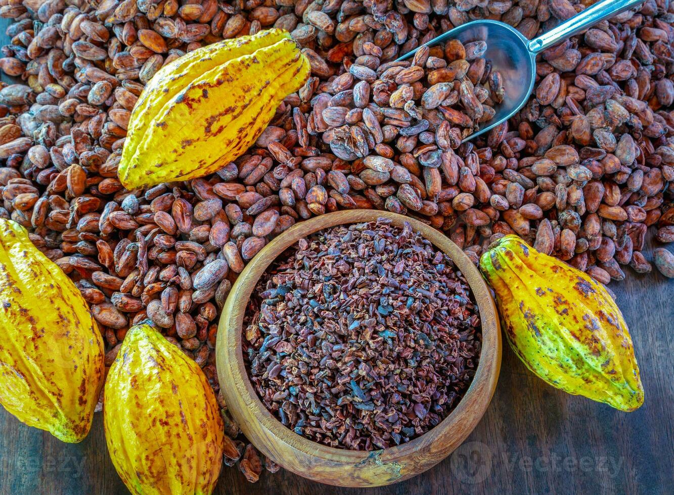 Los nibs de cacao son granos de cacao que se han molido en frío o se han molido a bajas temperaturas para formar pequeños granos de cacao orgánicos amargos. foto