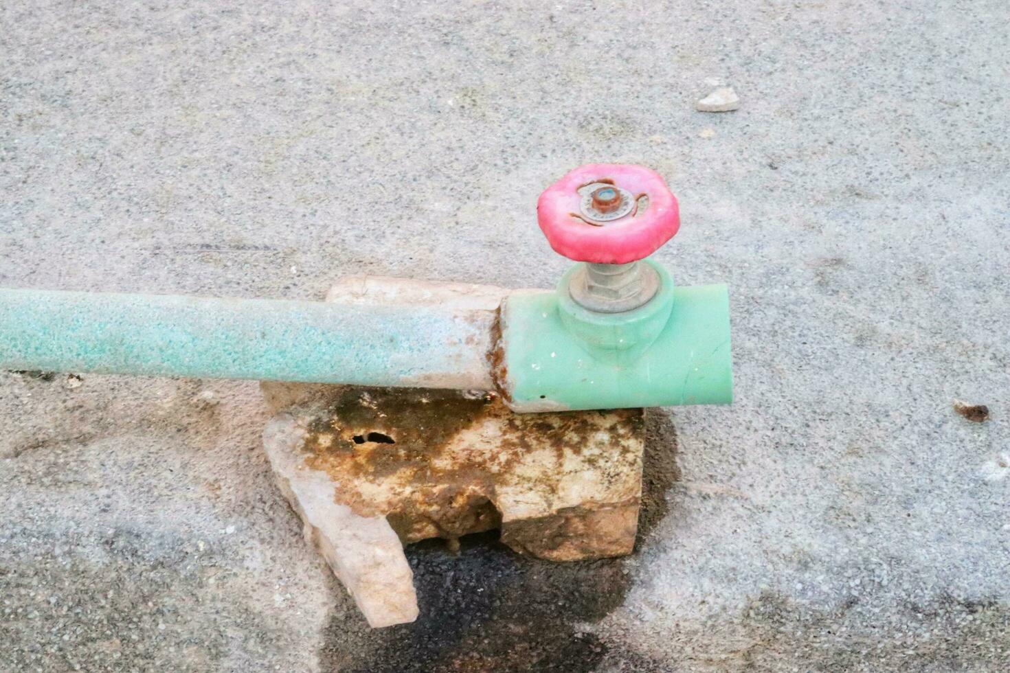 sanitario adecuado valva en el jardín foto