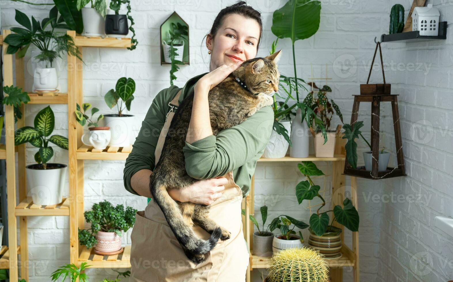 mujer participación mascota gato en su brazos cerca su colección de raro especies hogar en conserva plantas en estante en interior de casa. hogar planta creciente, verde casa, natural vivo esquina foto