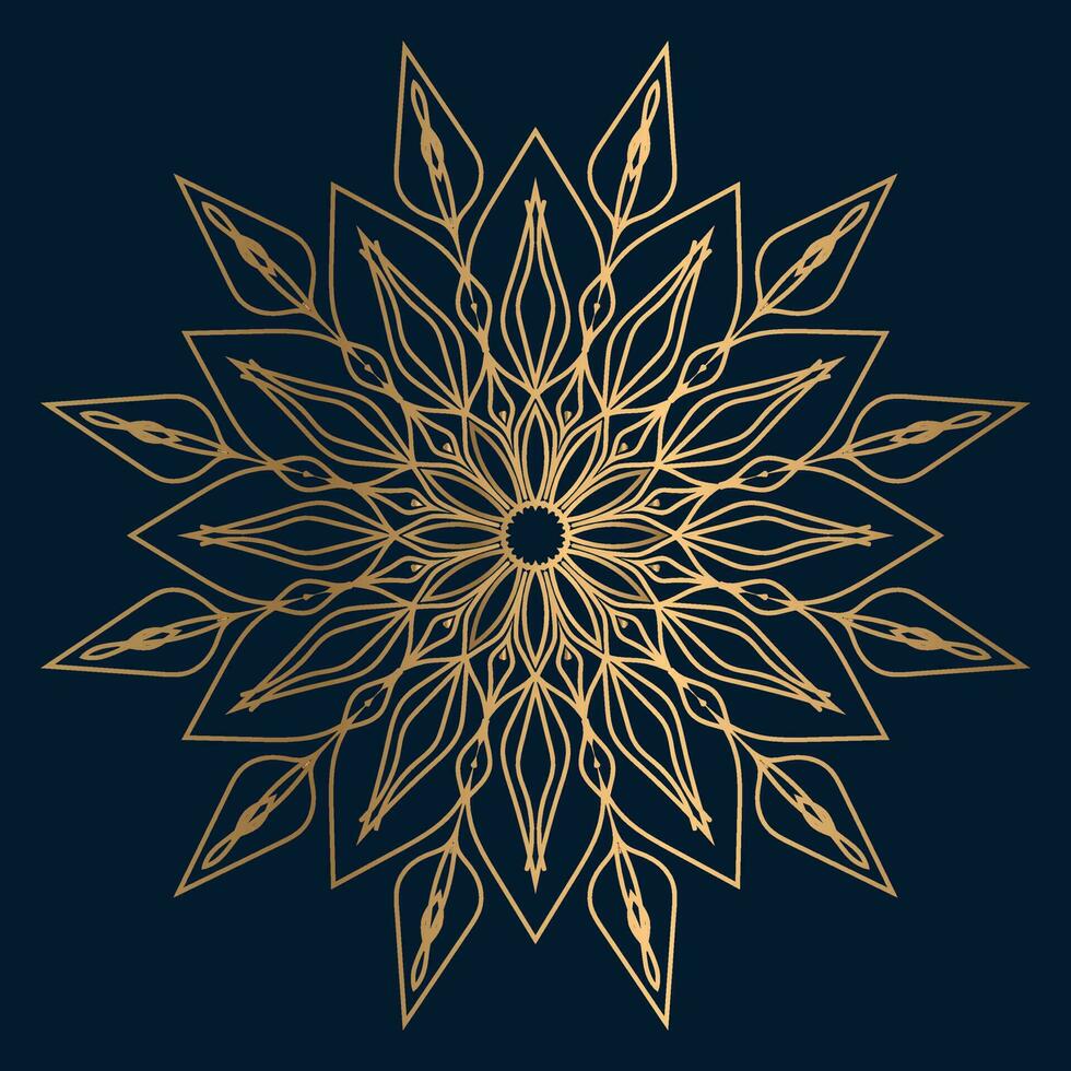 luxury mandala 1 vector