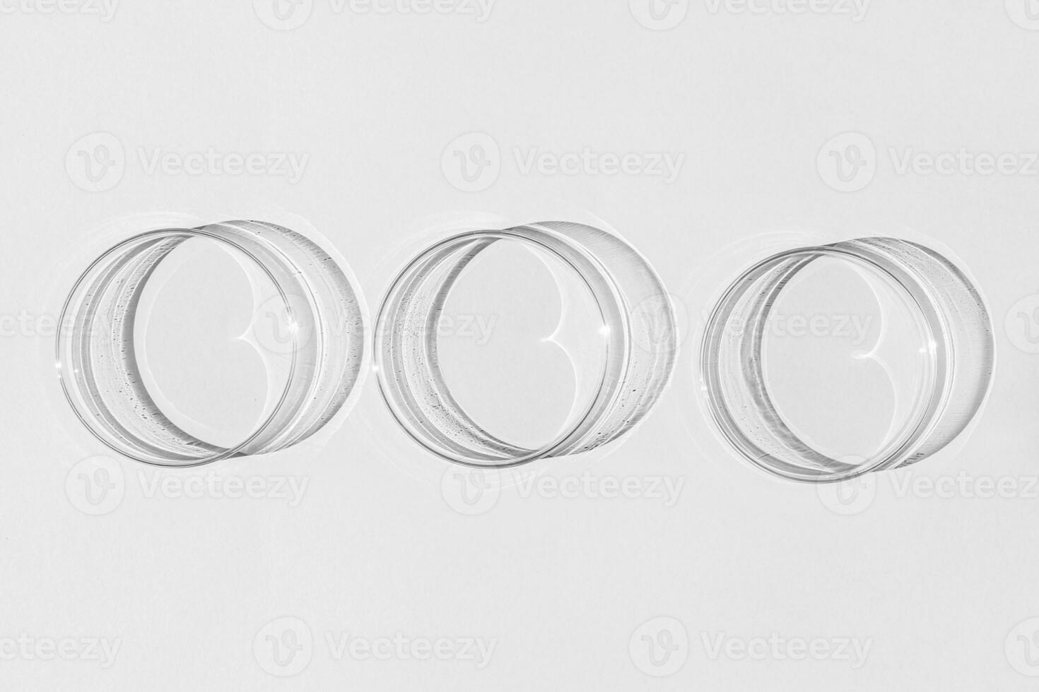 Petri dish. A set of Petri cups. On a white background. Laboratory half. photo