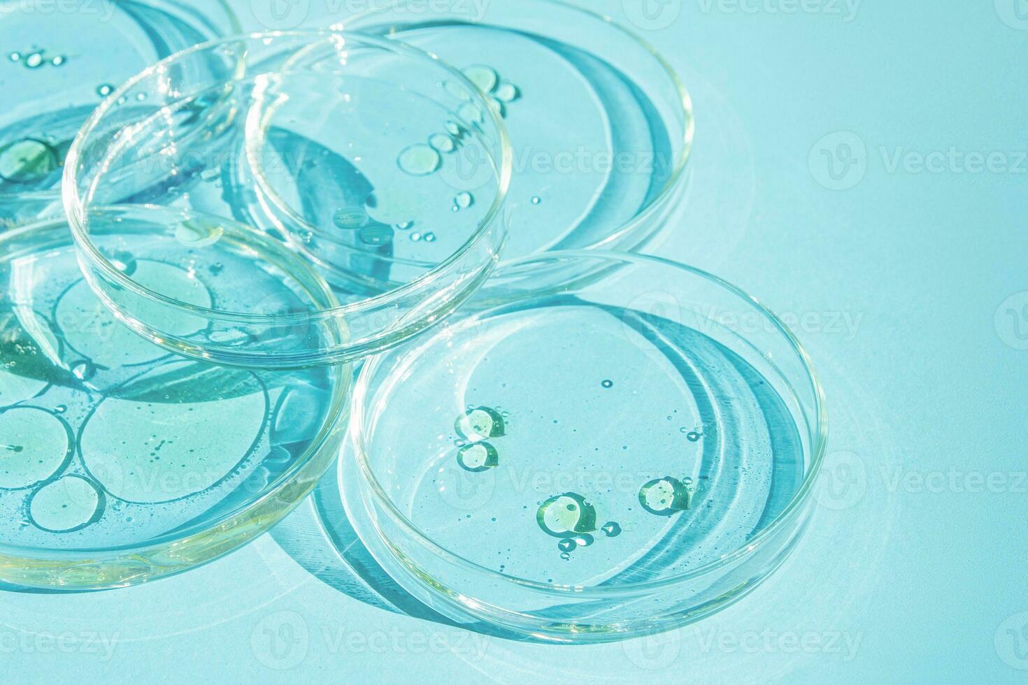 Petri dish. Petri cups with liquid. Set. Chemical elements, oil, cosmetics. Gel, water, molecules, viruses. Close-up. On a blue background. photo