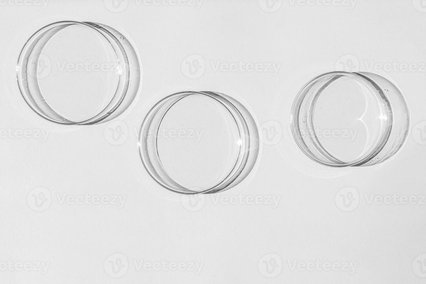 Petri dish. A set of Petri cups. A pipette, glass tube. On a white background. photo