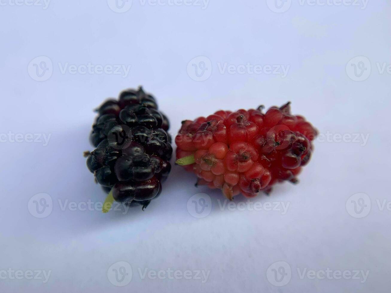 Black and red juicy mulberry on white background photo