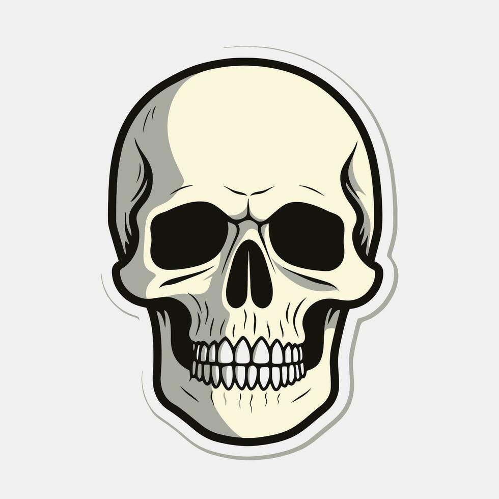 anatómicamente correcto humano calaveras conjunto aislado. mano dibujado línea Arte vector ilustración.