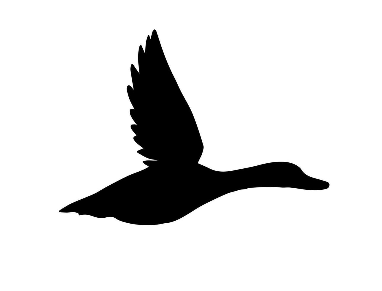 Vector black duck silhouette