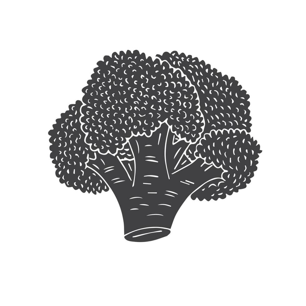 Vector hand drawn black sketch broccoli