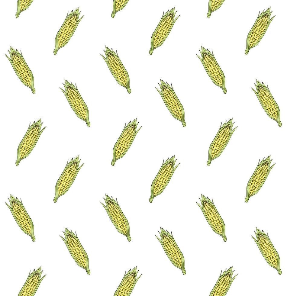Vector seamless pattern of hand drawn sketch corn