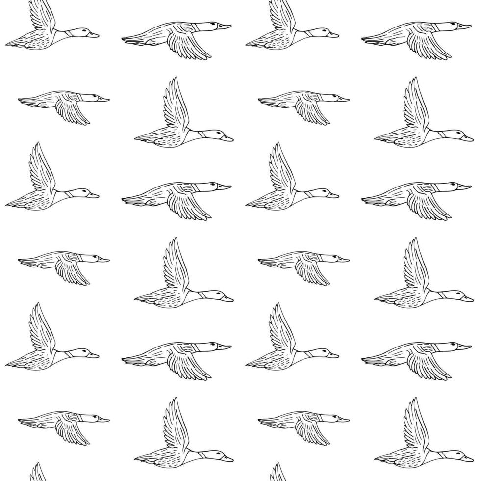 Vector seamless pattern of hand drawn flying duck