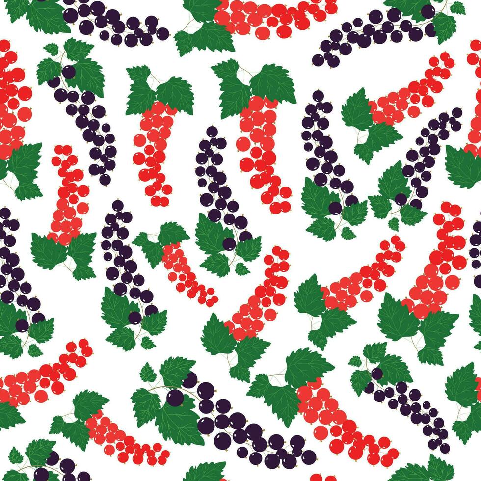 Pattern with currant. Seamless pattern with red and black currants. vector