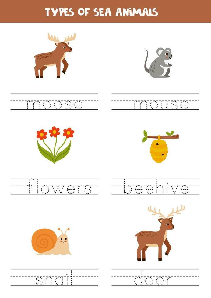 Tracing names of woodland animal types. Writing practice. vector