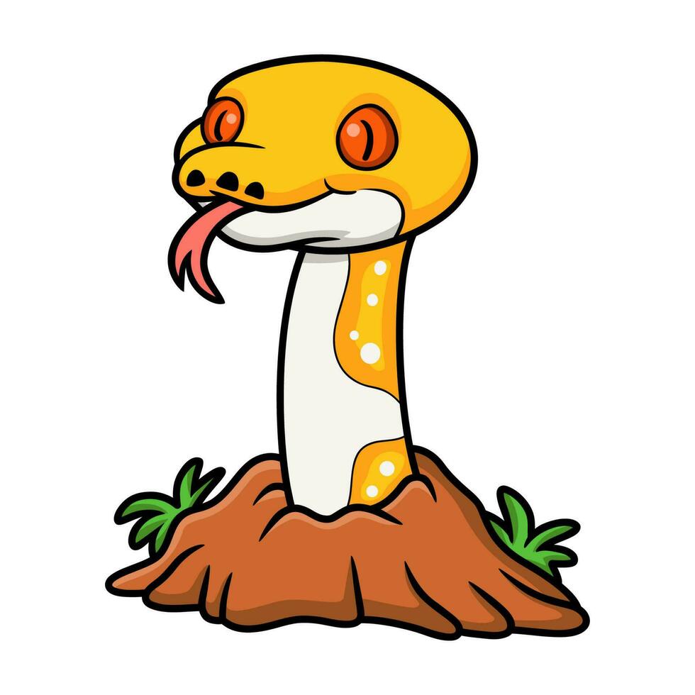 Cute albino pied reticulated python cartoon out from hole vector