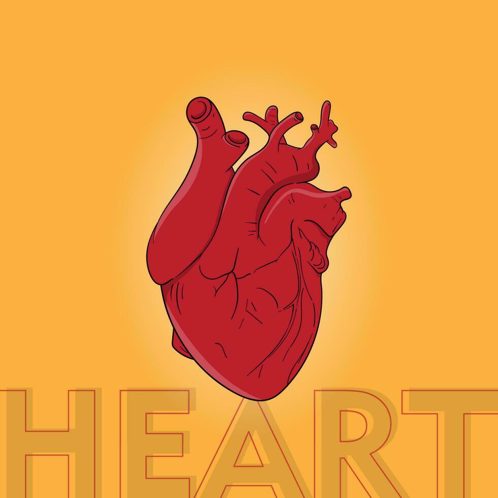 Red human heart illustration in cartoon hand drawn in yellow background for health template design vector