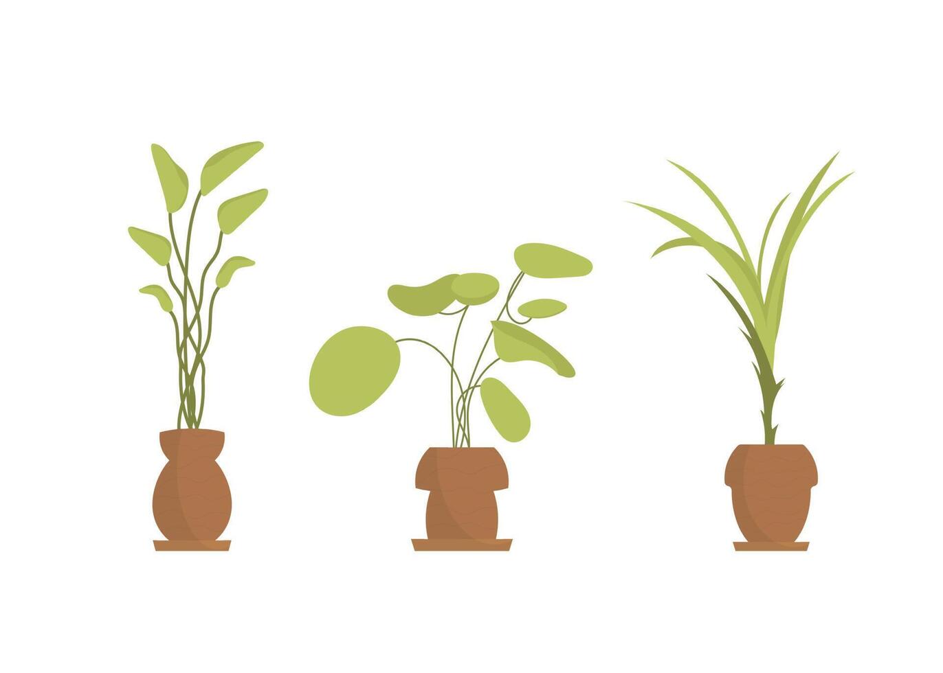 Set of various indoor plants. Isolated. Flat style. vector