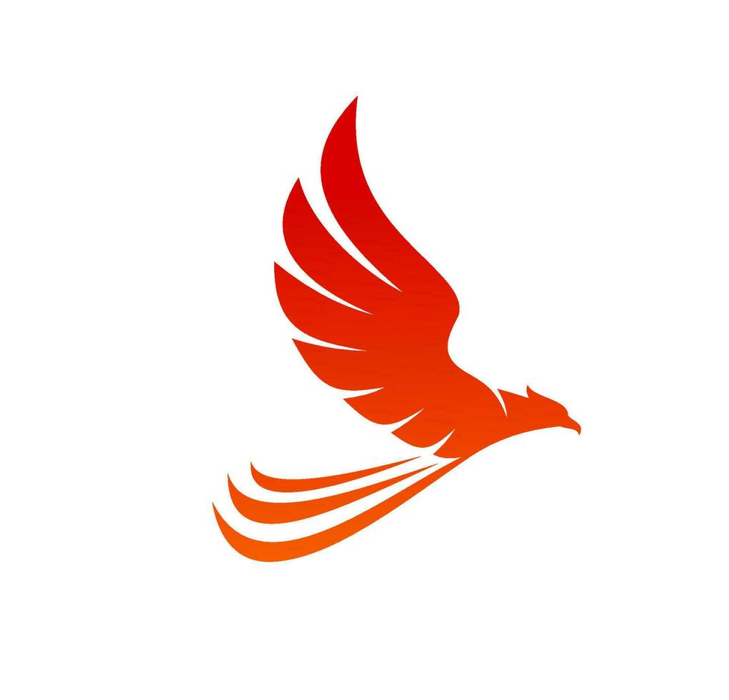 Phoenix bird, abstract eagle or falcon with flames vector