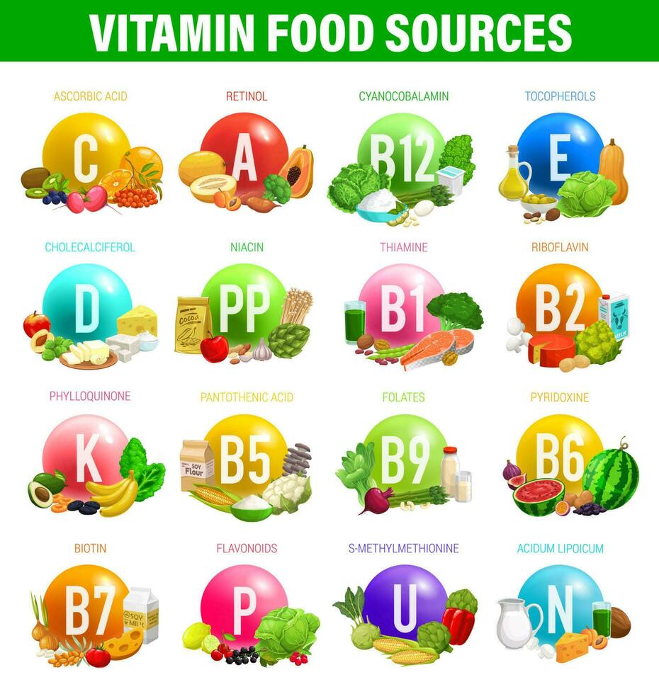 Vitamins and minerals food sources in nutrition vector