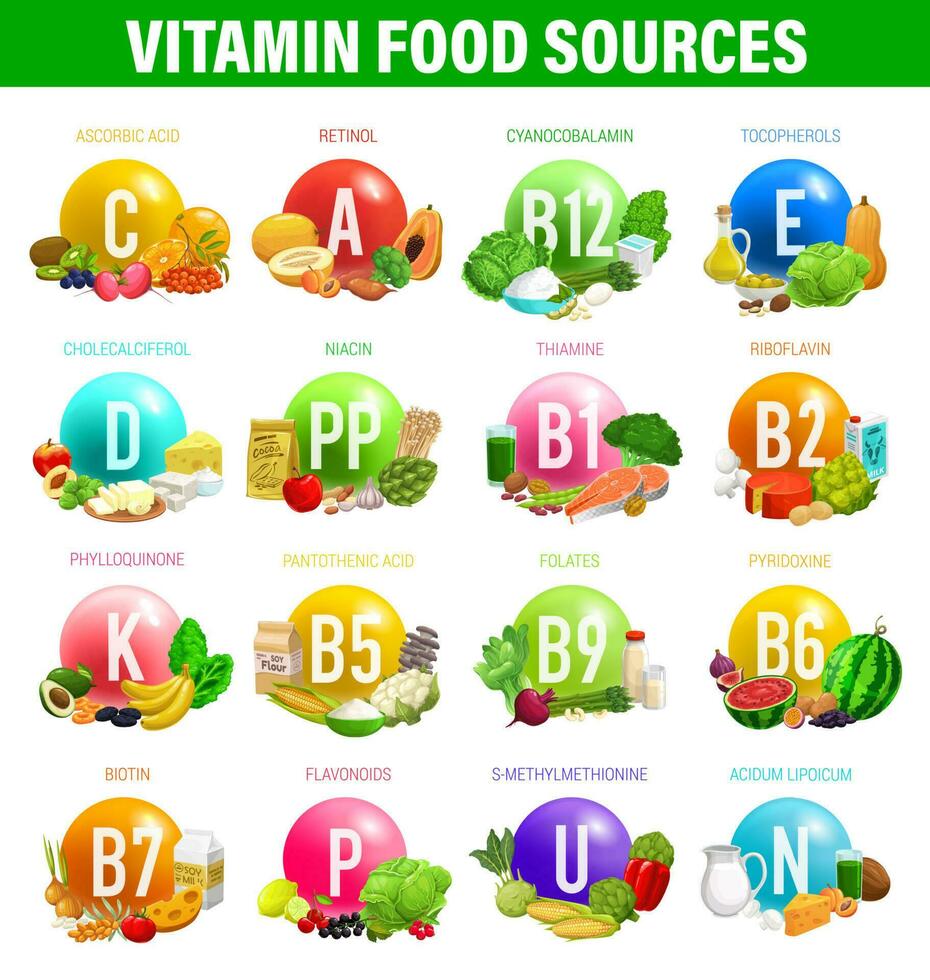 vitaminas y minerales comida fuentes en nutrición vector