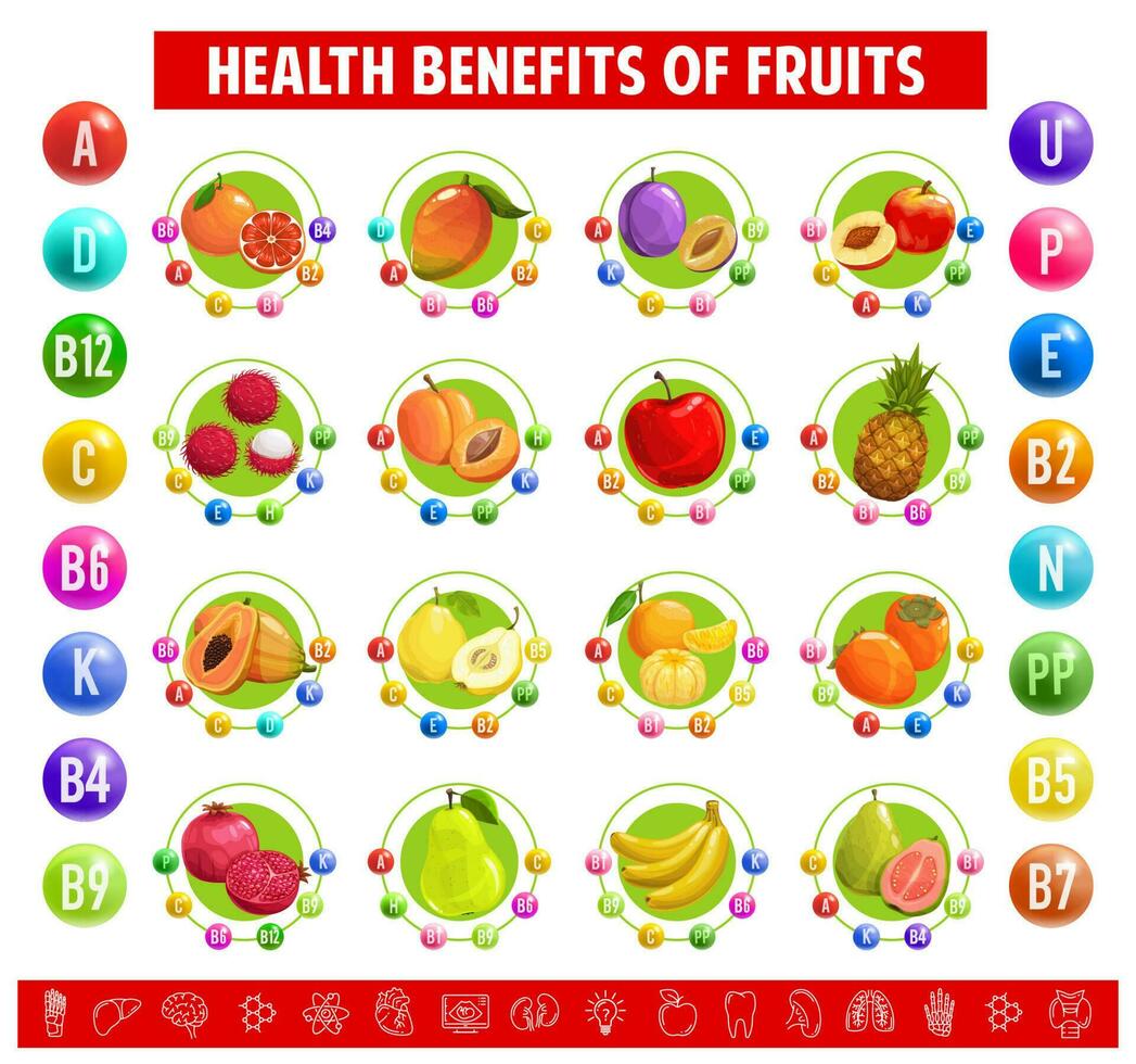 Chart table content vitamins, minerals in fruits, vector