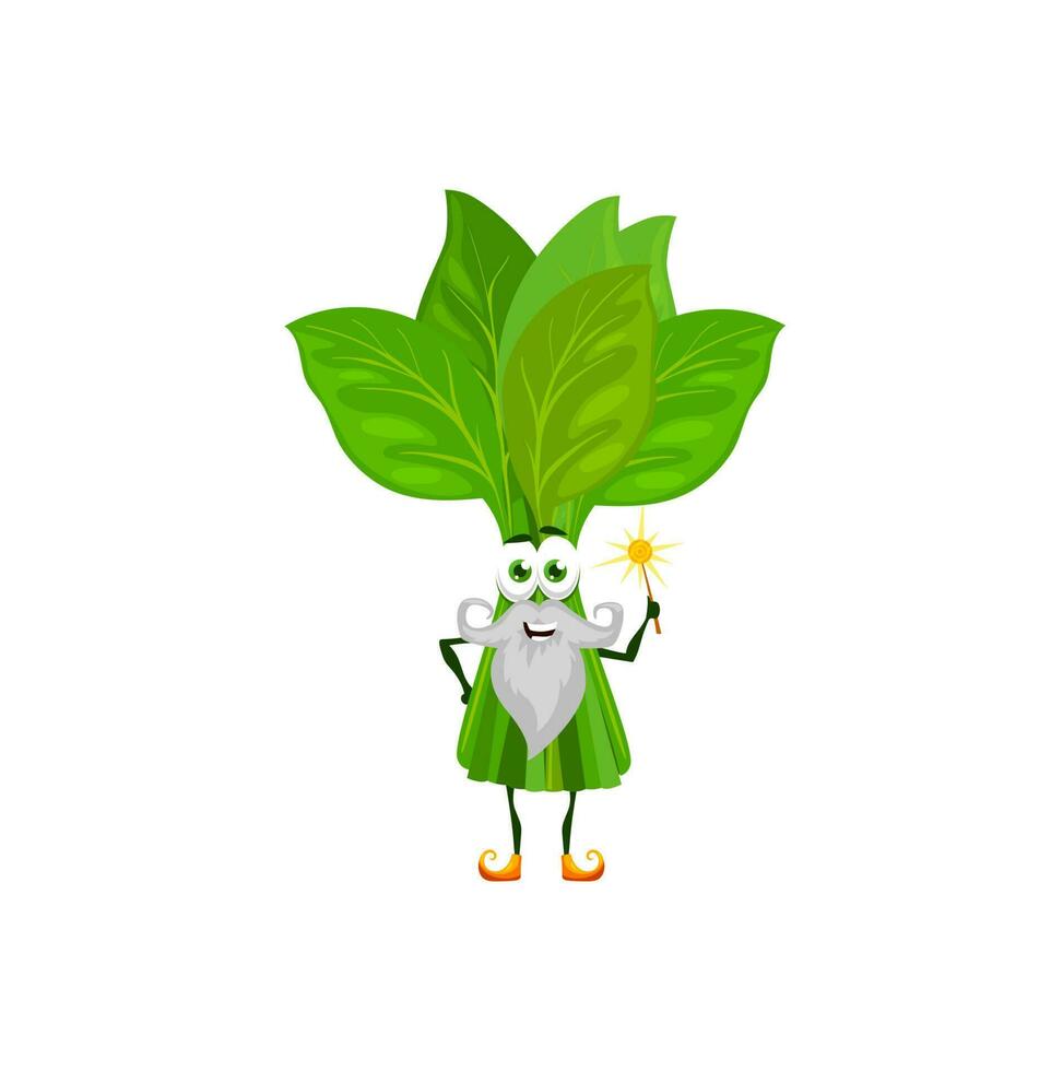 Cartoon green spinach wizard character or magician vector
