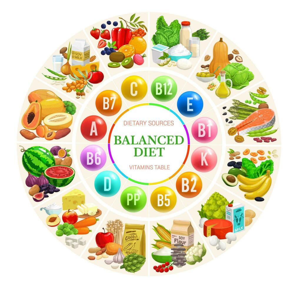 Balanced diet diagram chart, vitamins and minerals vector