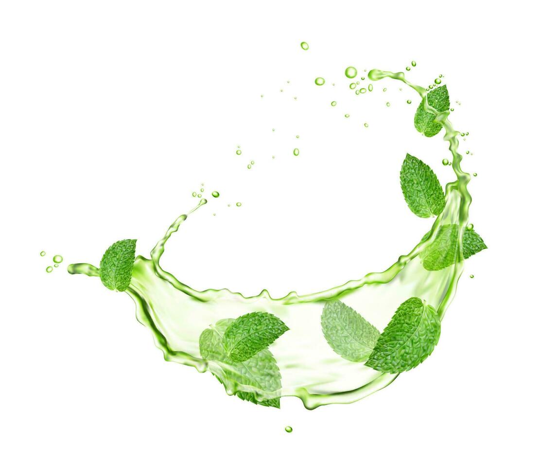 Green herbal tea swirl splash with mint leaves vector