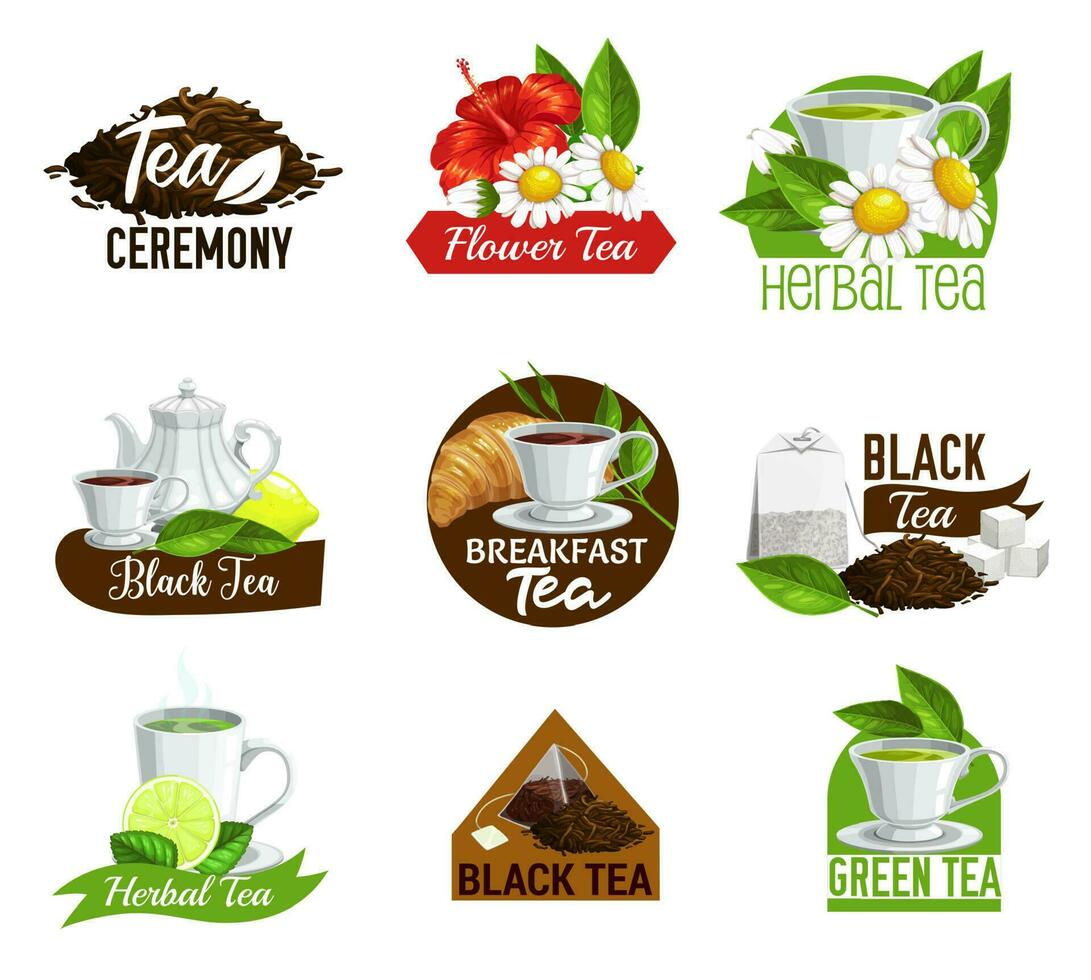 Herbal black and green tea, teabags icons vector