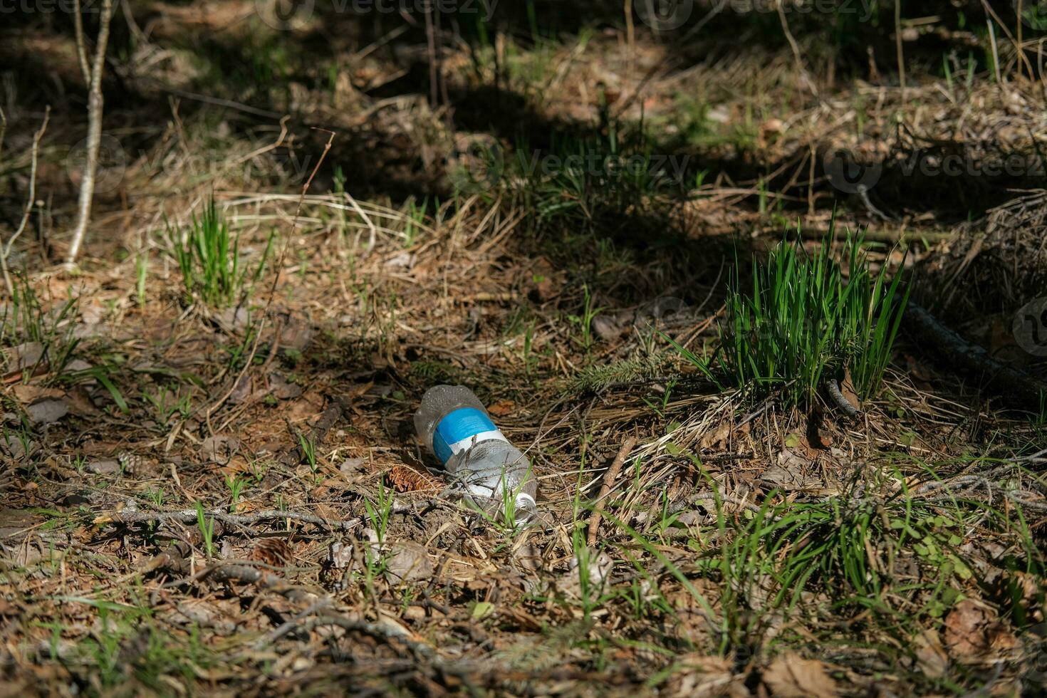 Garbage in the forest. Plastic bottle under the trees in the forest. Ecological problems photo
