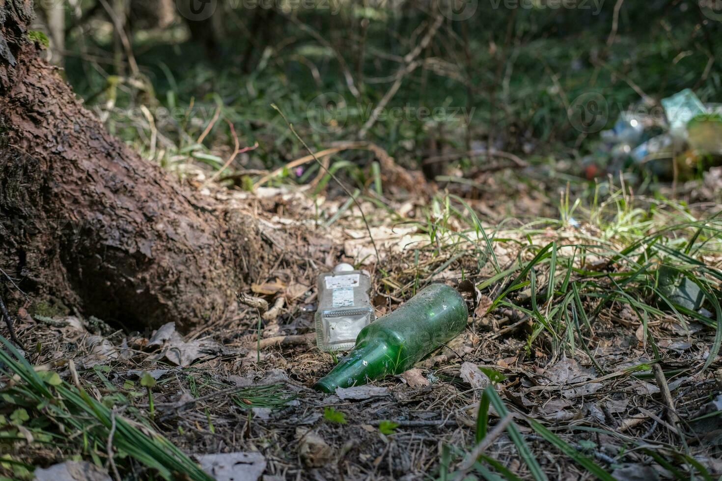 Garbage in the forest. Glass bottles under the trees in the forest. Ecological problems photo