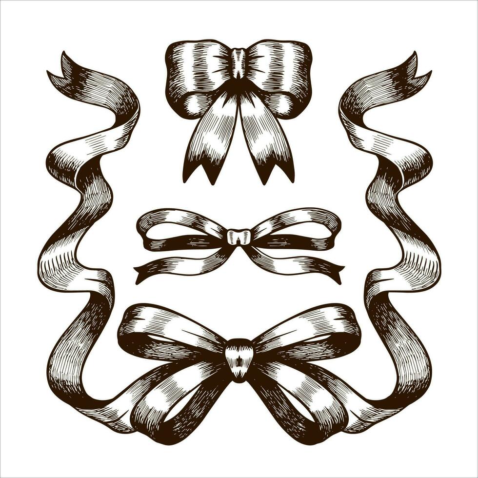 Set of hand drawn bows. Vintage wedding frame with ribbon. Vector illustration line art.