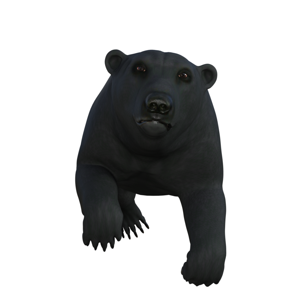 Black Bear cub isolated 3d rendering png